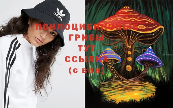 амфетамин Зеленодольск
