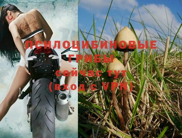 мдпв Новокубанск