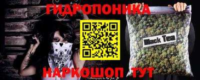 спайс Можга