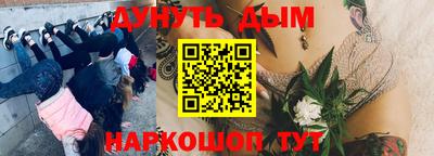 PSILOCYBIN Моздок