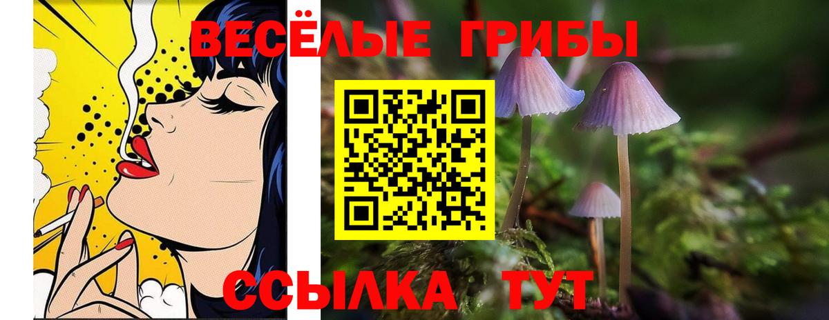 Галлюциногенные грибы MAGIC MUSHROOMS  Вход с VPN  Мариинск  Галлюциногенные грибы ЛСД 
