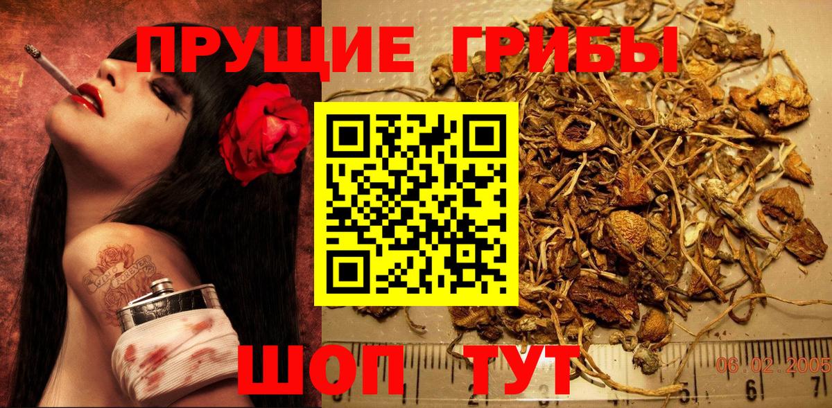 Галлюциногенные грибы мицелий Мариинск